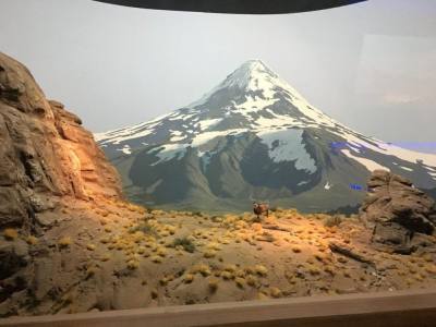 Museos Sala de Dioramas