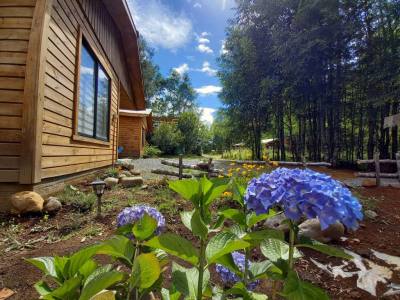 Cabins Cabañas Trinar del Chucao