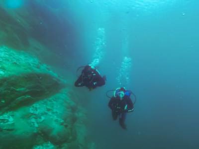 Buceo Ardilla Buceo