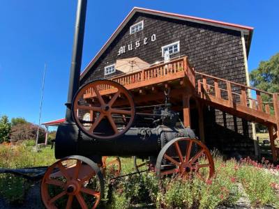 Museos Antonio Felmer N.